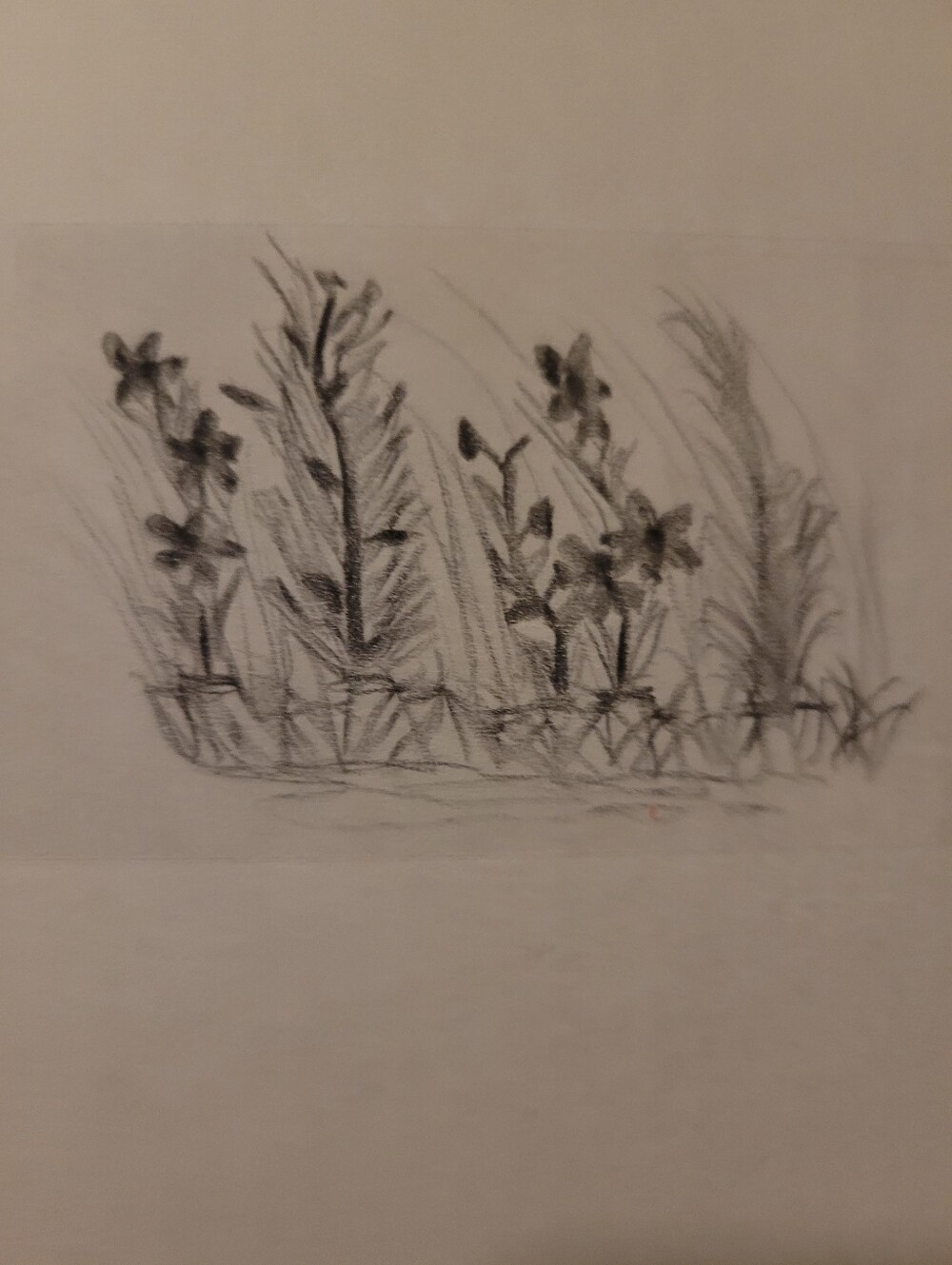 "Box Art" - Picture 2 of 9